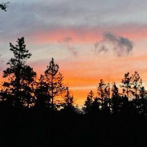 Meet your Posher, Ben